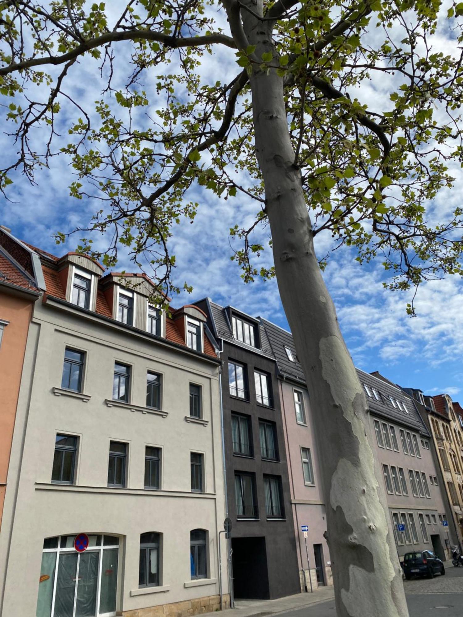 Eiwelhome - Stilvoll, Urban-Ruhig Schlafen, Bahnhofsnah, Balkon Erfurt Extérieur photo